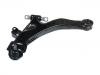 Brazo de suspensión Control Arm:54500-2D000