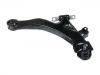 Control Arm:54501-2D000