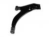 Control Arm:48068-16060