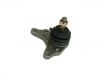 Ball Joint:43350-39125