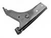 Control Arm:54502-24001