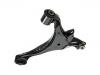 Brazo de suspensión Control Arm:51360-S6D-G00