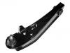 控制臂 Control Arm:H001-49-310