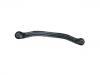 Brazo de suspensión Control Arm:55201-25000