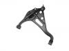 Control Arm:45201-65D00