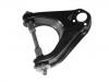 Control Arm:54411-G4000