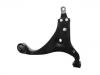 控制臂 Control Arm:54500-2H000