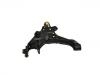 Brazo de suspensión Control Arm:54502-H1002