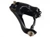 Control Arm:48630-28013