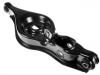 Control Arm:4113A038