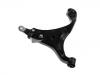 Control Arm:54500-1D000