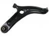 Control Arm:54501-1P000