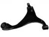 Control Arm:54501-2G001