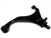 Control Arm:54500-2E031