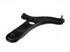 Control Arm:54501-1W000