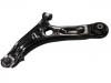 Bras de liaison Control Arm:54500-1Y100