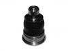 шаравой Ball Joint:54501-1HA6A#