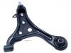 Brazo de suspensión Control Arm:48069-79015