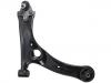 Control Arm:48068-0F010