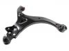 Control Arm:54501-3J000