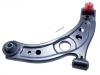 Brazo de suspensión Control Arm:48069-B1070