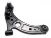 Control Arm:48068-B1090