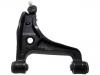 Brazo de suspensión Control Arm:46202-65J01