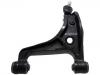 控制臂 Control Arm:46201-65J01