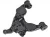 Control Arm:48069-34020