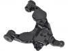 Control Arm:48069-34040