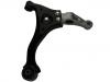 Bras de liaison Control Arm:54500-3F600