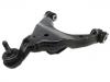 Control Arm:48069-60020