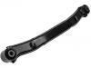 Bras de liaison Control Arm:55100-1D000