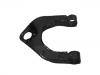 Control Arm:54411-H1100