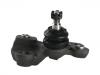 Ball Joint:43340-59145