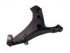 Brazo de suspensión Control Arm:20202-SG000