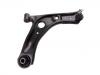 Control Arm:48068-0H020