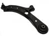 Control Arm:45202-M74L20