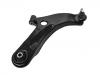 Control Arm:45201-84M00