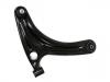 Control Arm:45201-64P00